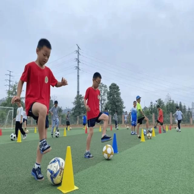 电竞季后赛战术变化视角解析:第308组的潜在亮点